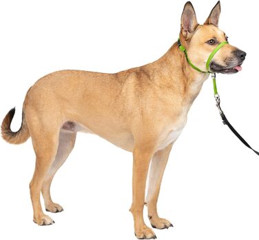PetSafe Sanfter Führer нашийник для дресирування з DVD (яблучно-зелений, Medium)