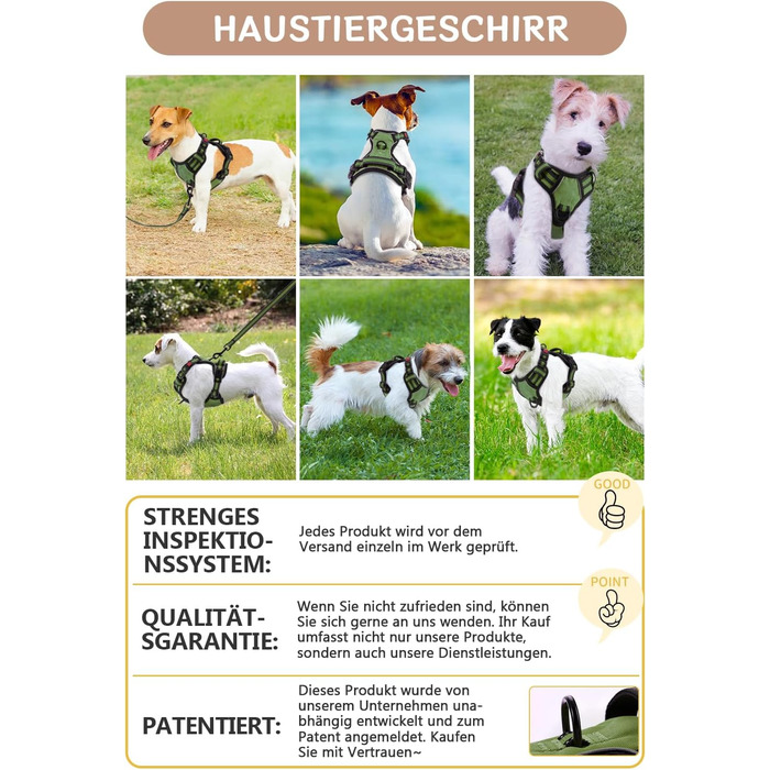 Нашийник для собак BaoCheng Anti Pull: безпечний, дихаючий, з 3 пряжками, для малих, середніх та великих собак, світловідбиваючий (темно-зелений, небесно-блакитний)