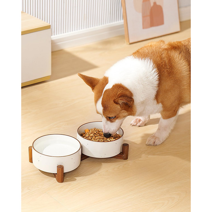 Набір мисок для собак Getstar з кераміки на підставці з акації, 887 мл, 2 шт, з кольоровим обідком