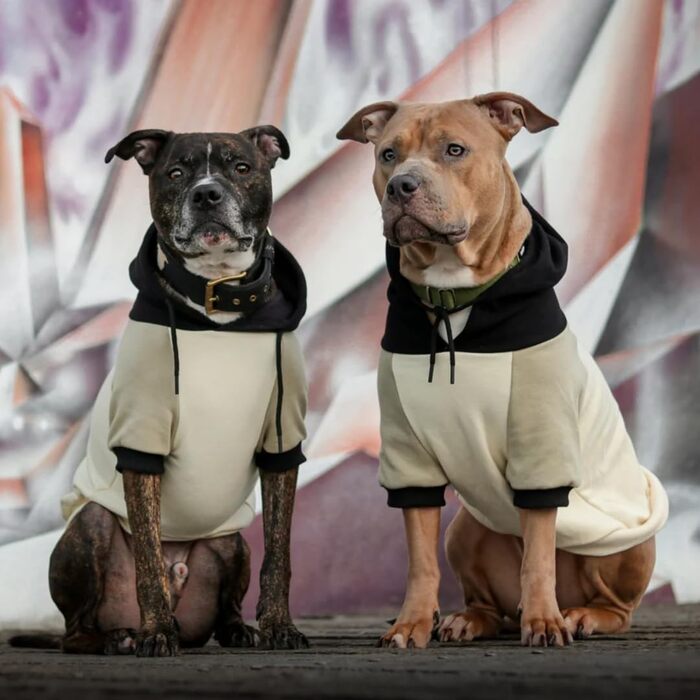 Худі для собак Spark Paws, преміум-фліс, комфорт, оливкова кремова, 4XL, для всіх порід