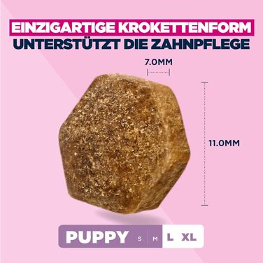 Сухий корм для собак великих порід Eukanuba з куркою для дорослих, преміум-клас, 15 кг