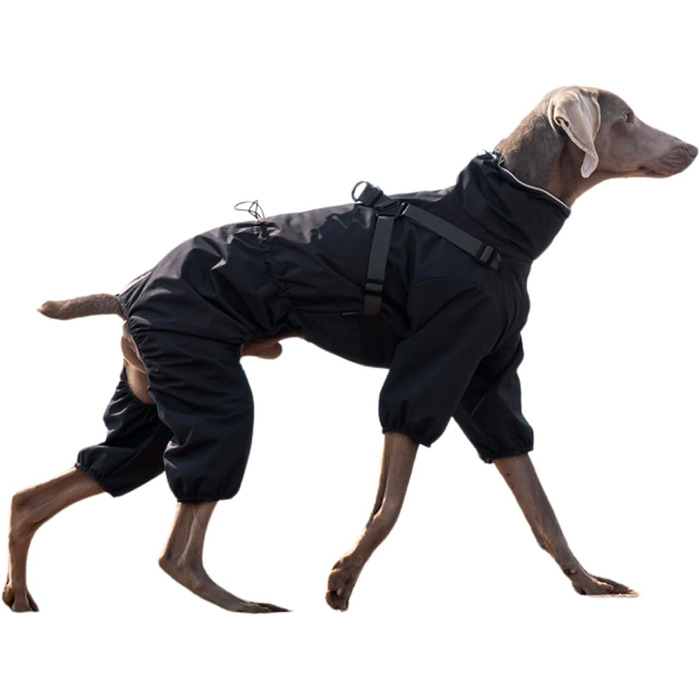 Водонепроникний комплект для собак BT Bear: жилет, дощовик, жилетка, для середніх та великих собак, розмір 6XL, чорний