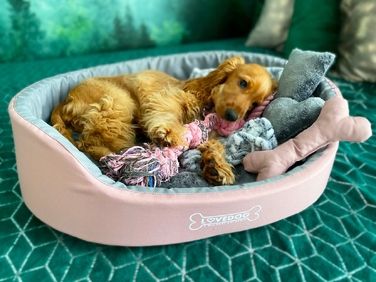 Вольєр для собак Lovedog, багатоколірний, 60 см x 50 см