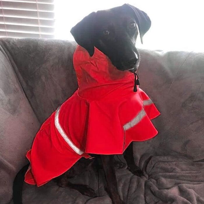 Дощовик для собак, дощовий плащ для собак з капюшоном, підходить для шлейки, легкий та світловідбиваючий дощовик для собак середніх та великих порід (Червоний, S)