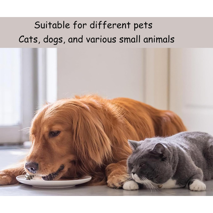 Набір мисок для котів, 2 шт., чорні, підняті, запобігають болю в шиї, широкі, антиблювотні, з антиковзним килимком