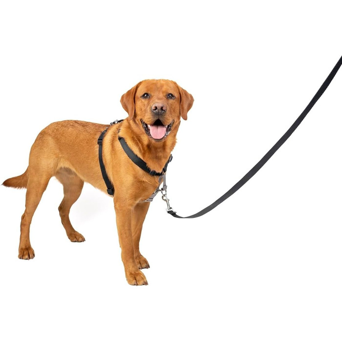 Шлея для собак PetSafe 3-в-1 з ременем безпеки, антизахисний кільце, розмір L, чорна – для авто і прогулянок