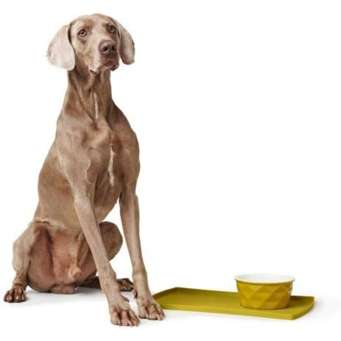 Підкладка для тарілки HUNTER EIBY, силікон, захист від ковзання, високий бортик, 48 x 30 см, жовта