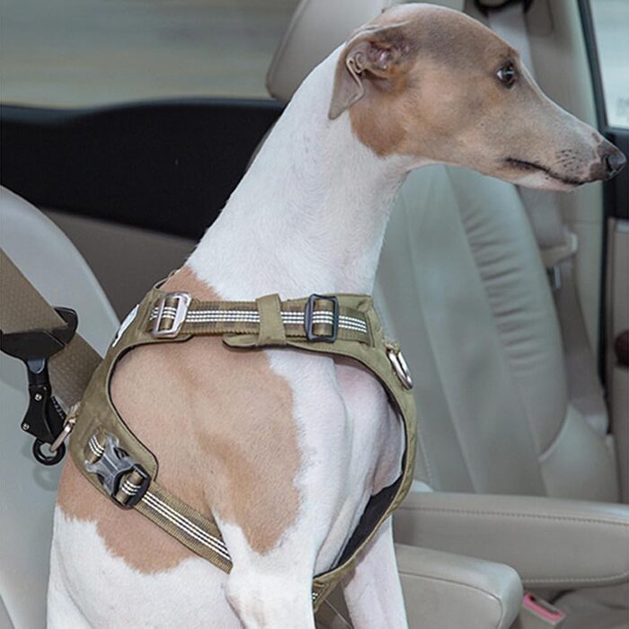 Затискач для собак, автомобільний ремінь безпеки для собак, затискач-замок, кріплення для собак до ременя безпеки