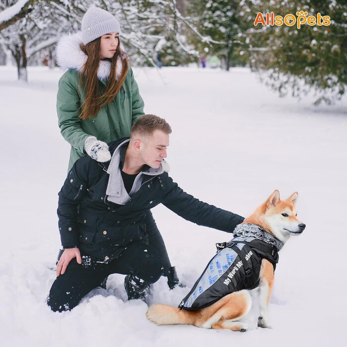 Водонепроникний теплий зимовий одяг для собак ALLSOPETS - куртка з відбиваючими смугами, стильна жилетка для холодної погоди (Blendblau, 3XL)