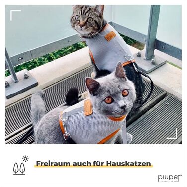 Шлейка для котів PiuPet (M) з повідком 1,2 м, протиутечна, комплект шлейка і повідок для кішок
