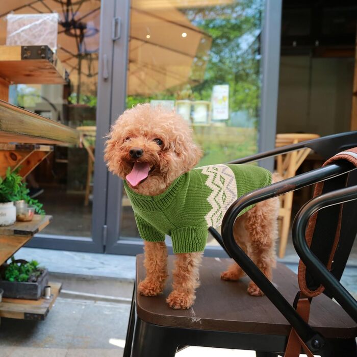 Теплий пуловер для собак Queenmore, для маленьких порід (Даксель, Французький бульдог), в'язаний, флісовий, зелений, XS