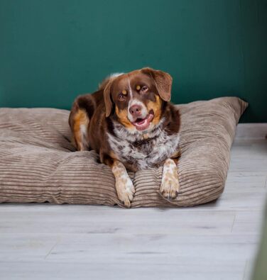 Килимок для собак 4L Textil ZOE: м'який, зручний, з блискавкою, для великих собак, з можливістю прання (графіт, смужки)