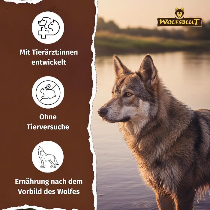 Сухий корм для дорослих собак WOLFSBLUT Wide Plain з кониною, беззерновий, з суперфудами, 12.5 кг