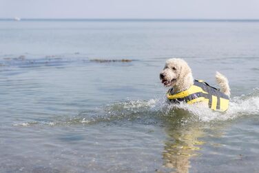 Жилет рятувальний для собак TRIXIE, XS (28 см, до 12 кг), неоново-жовтий. Швидковисихаючий, з ручкою для безпеки у воді. Модель SUB-30125 чорний/жовтий