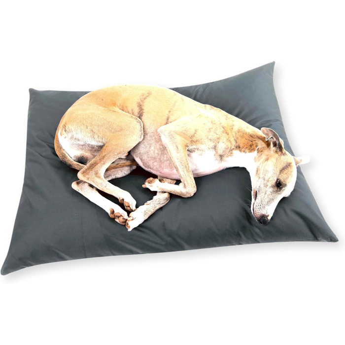 Водонепроникне собаче ліжко 4L Textil ZOE для собак середніх порід (60x50 см, графіт)