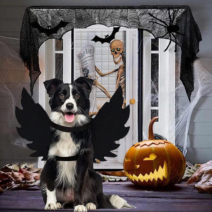 Костюм для тварин на Хелловін: крила кажана для котів та собак, чорний, M145