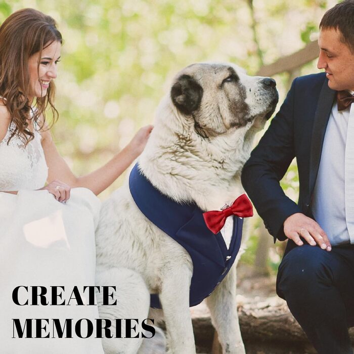 Елегантний собачий смокінг для весілля та ювілею, стильний набір для фотосесій та свят, синій смокінг з червоною краваткою (L, Neck 16.5-20.5 дюймів)