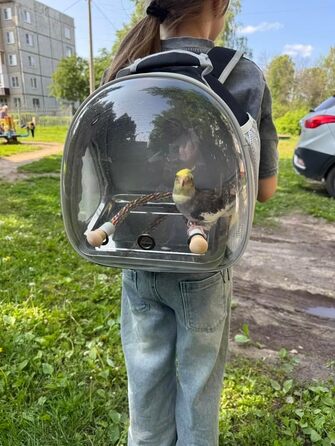 Побутова переноска для птахів, рюкзак-переноска для папуг, канарів, хвилястих папужок, до ветеринара, прозора капсула, від авіакомпанії Pink