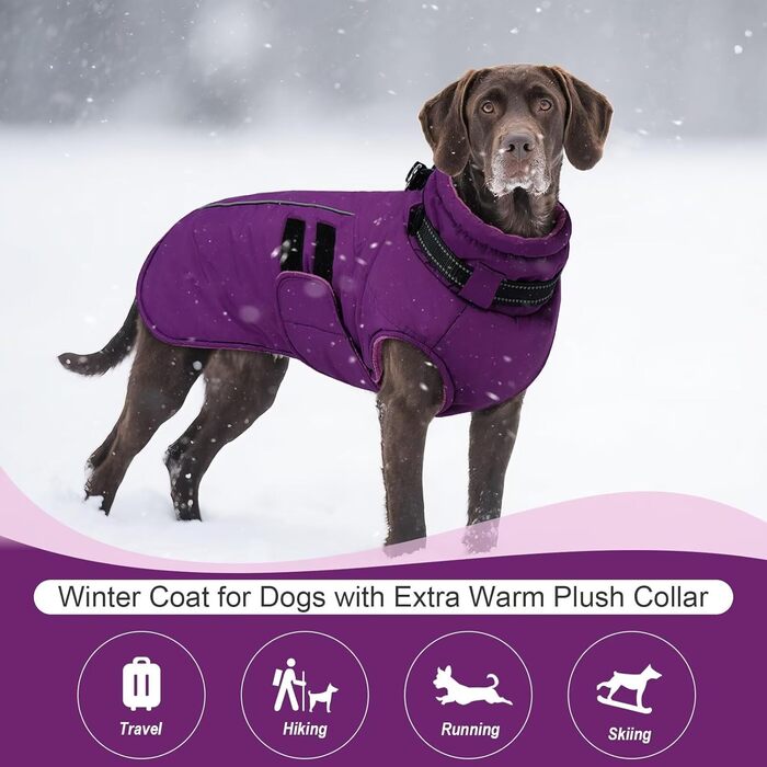 Зимова куртка для собак IECOii, тепла, водонепроникна, регульована, з відбиваючими елементами, фіолетового кольору, розмір M
