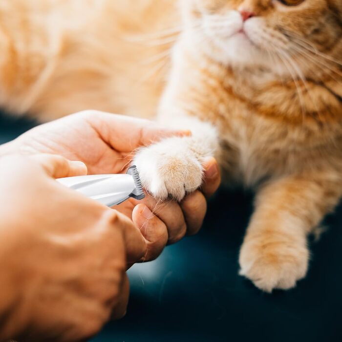 Триммер для собак VSSHE: професійний, безшумний, вологостійкий, з LED-підсвічуванням, акумуляторний, для догляду за лапами, очима, вухами, обличчям та тілом собак та котів