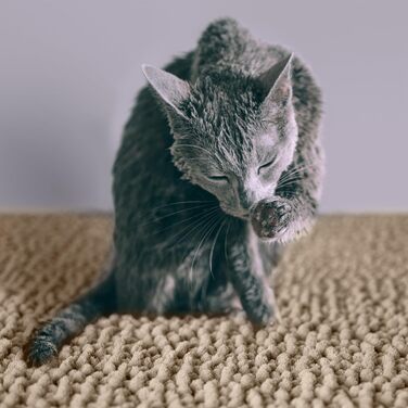 Килимок для котячого туалету CatGuru XXL, водонепроникний, протиковзкий, машинне прання, сірий, для котячого наповнювача