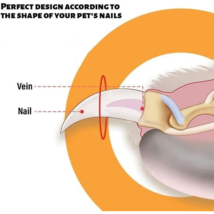 Тримери для кігтів котів з захистом, подвійний отвір, для котів, кошенят, собак, 3 шт. помаранчевого кольору