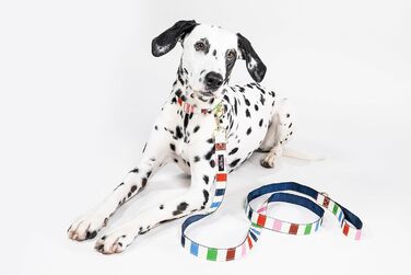 Собача повідок Kate Spade New York 1,4 м, міцний для малих і середніх собак, з золотистою фурнітурою, стильний для сук і кобелів