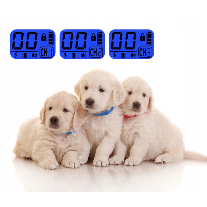 Електричний нашийник для дресирування собак з пультом дистанційного керування та великим радіусом дії