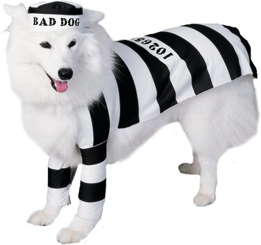 Костюм Рубі Mac Daddy Hautierkotüm, чорний та сірий (M)