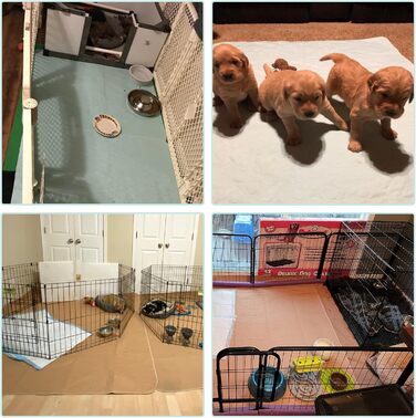 Підгузки для собак Kooltail - водонепроникні килимки для туалету, неслизькі пелюшки для цуценят, багаторазові пелюшки для вигулу собак, 86 x 26 см (2 шт.), сірий