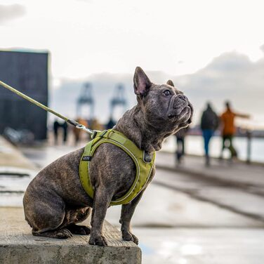 Шлея для собак DOG Copenhagen Comfort Walk Go, розмір M, мокко (коричнева)