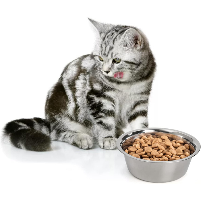 Набори мисок для собак та котів DEAYOU з нержавіючої сталі (4 шт.), 21 см, 1.3 л