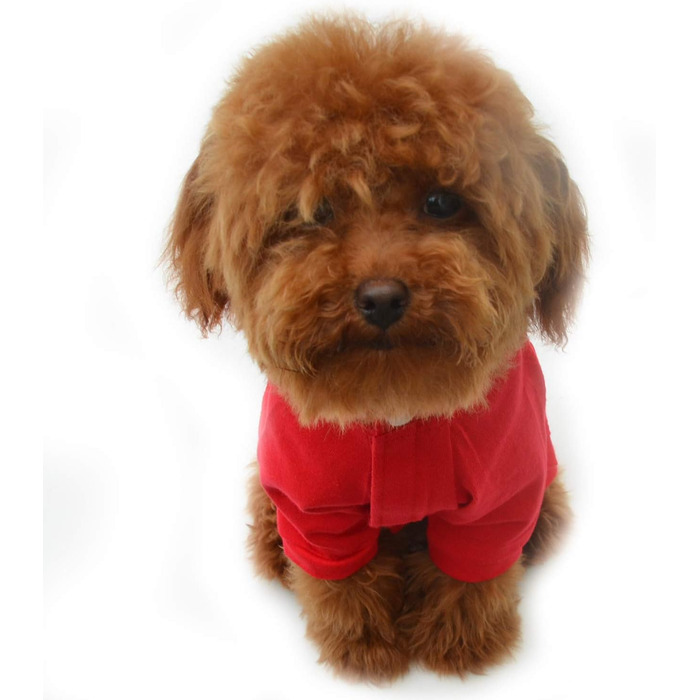 Комбінезон для собак Lovelonglong з чистої бавовни, 4 лапи, для великих та середніх собак, розмір XXL, Зелений (XXXL (для собак ~36 кг), Червоний)