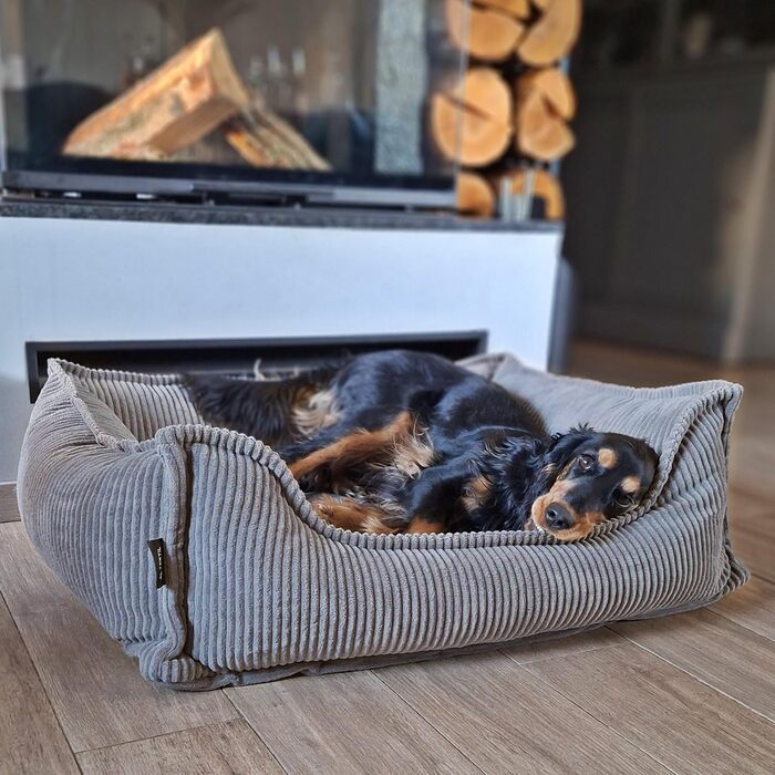 4L Textil М'яке собаче ліжко з корду Hugo Premium-LINE, ортопедичне, для маленьких собак, з піною з пам'яті, знімний чохол, плюшеве (темно-сірий, 60x40 см)