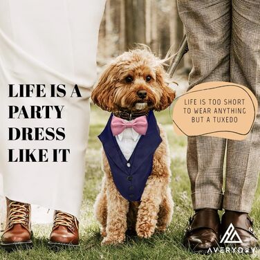 Смуговий костюм для собак AVERYDAY: смокінг для вечірки, Хелловіну, косплею, весілля. Підходить для середніх та великих собак (XL, блакитний смокінг + рожева краватка)
