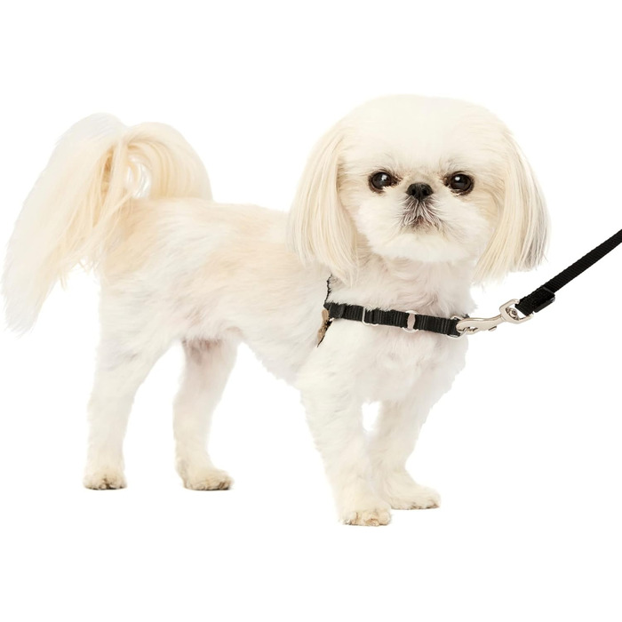 Шлея для собак PetSafe Easy Walk, анти-тягова, регульована