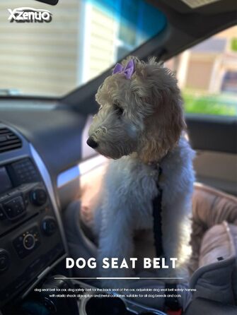 Ремінь безпеки для собак в авто: 2 шт., чорний, 60 см, з регулюванням та амортизацією