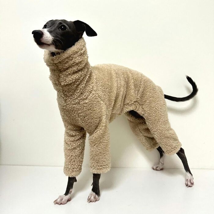 Теплий флісовий комбінезон для собак - теплий спальник для італійських грейхаундів, маленьких, середніх та великих собак (колір: коричневий)