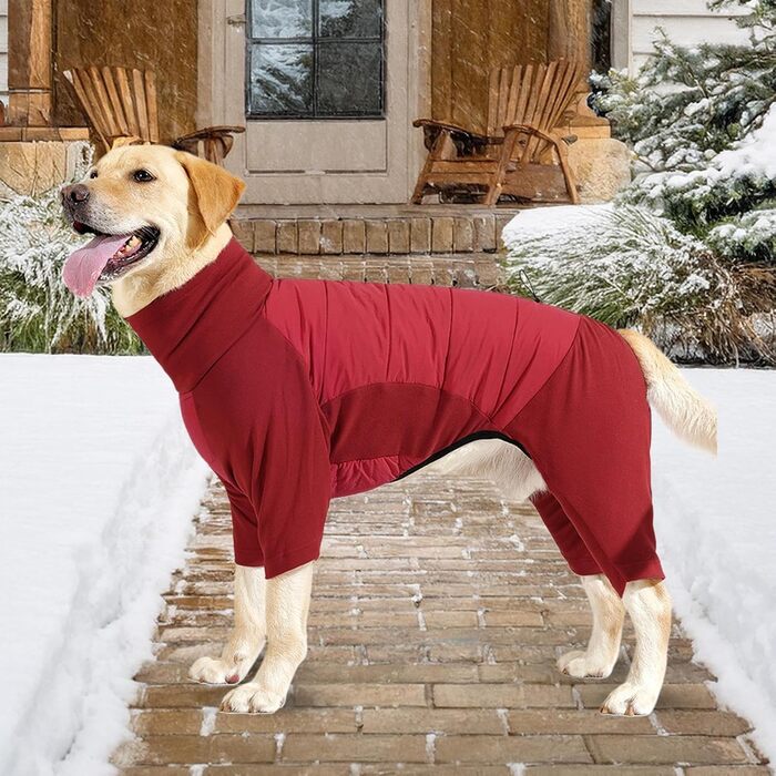 Зимовий одяг для собак: теплий, вітронепроникний зимовий плащ з коміром для маленьких, середніх та великих собак. Ідеально для прогулянок, походів та кемпінгу. Розмір XL (червоний)