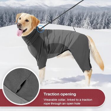Зимовий теплий одяг для собак – куртка з коміром для цуценят та великих собак | Зручний зимовий костюм для прогулянок, кемпінгу, походів