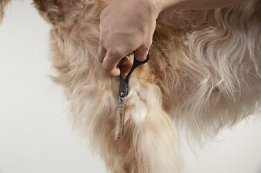 Ножиці для витончення шерсті Andis 6.5', професійні для грумінгу собак та котів (80645)