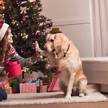 Капелюх ковбойський для собак та котів POPETPOP – веселі святкові капелюхи для домашніх тварин, аксесуари для костюмів на Хелловін та Різдво (колір кавовий)