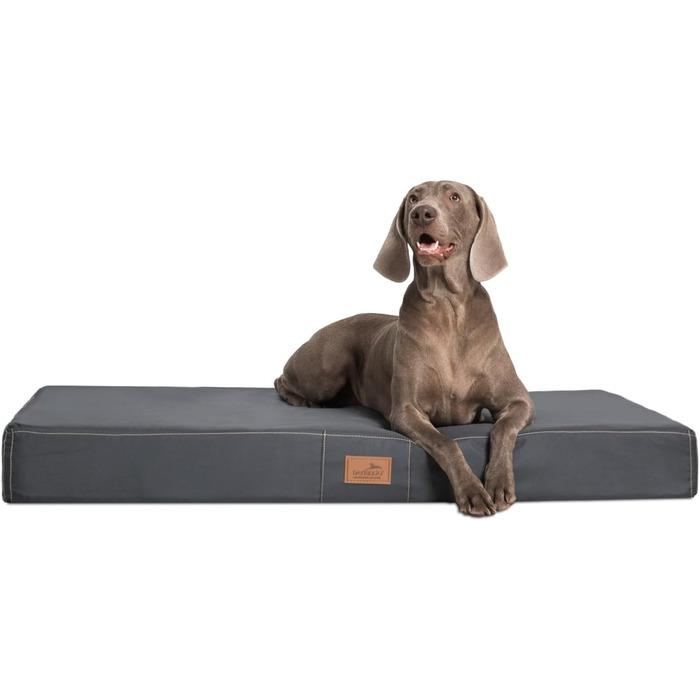 Ортопедичний лежак для собак Tierlando® Hugo Ortho Plus: антиковзаюча підкладка, матеріал Anti-Hair Polyester, для великих собак, 120x90 см, сірий
