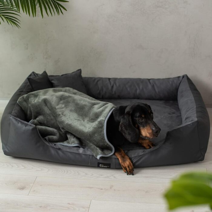 Ортопедичне ліжко для собак Eden, велике, середнє, маленьке - подушка для собак, килимок для собак з еко-шкіри + тканина Alcantara - зняття болю, стійке до зношування, міцне (XXL, сірий) XXL сірий