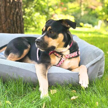 Квіткове ліжко для собак Teo 100x80 см, сіре - м'яке, знімний чохол, для собак середніх порід