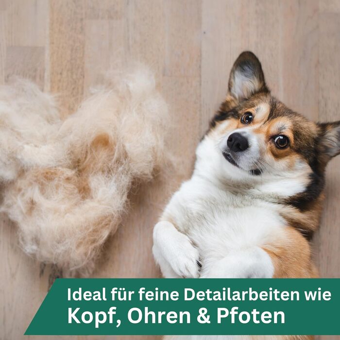 Машинка для стрижки собак Agrarzone Edition Aesculap Exacta біла - з запасним лезом - триммер для лап тихий & без вібрації - легка та зручна для собак та котів