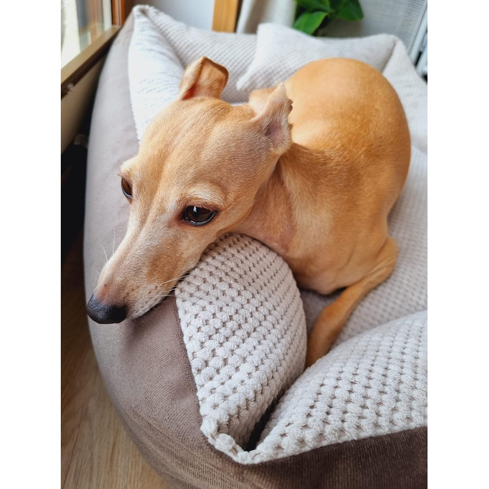 М'яке ліжко для собак Teo 80x60 см, знімний чохол, коричнево-бежеве, 80 x 60 x 20 см