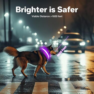 Світловідбиваючий нашийник для собак ASBRILL з USB-C, LED нашийник для собак, регульований, водонепроникний, 3 режими світіння, для малих, середніх та великих собак (L, фіолетовий)