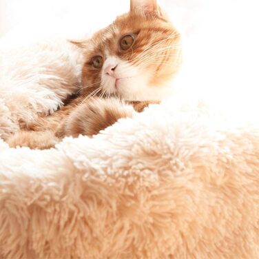 Кругла лежанка для собак та котів у формі пончика, 70x70 см, бежева/персикова, м'яка та миюча