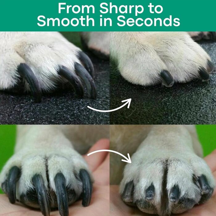 2-в-1 LED-ріжучий інструмент для догляду за кігтями для безпечного догляду за кігтями без страху, ножиці для собак зі світлом, захист безпеки, тиха робота, гострі, для середніх і маленьких собак і котів (білий)